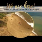 Photo of family walking on beach with dogs in panama