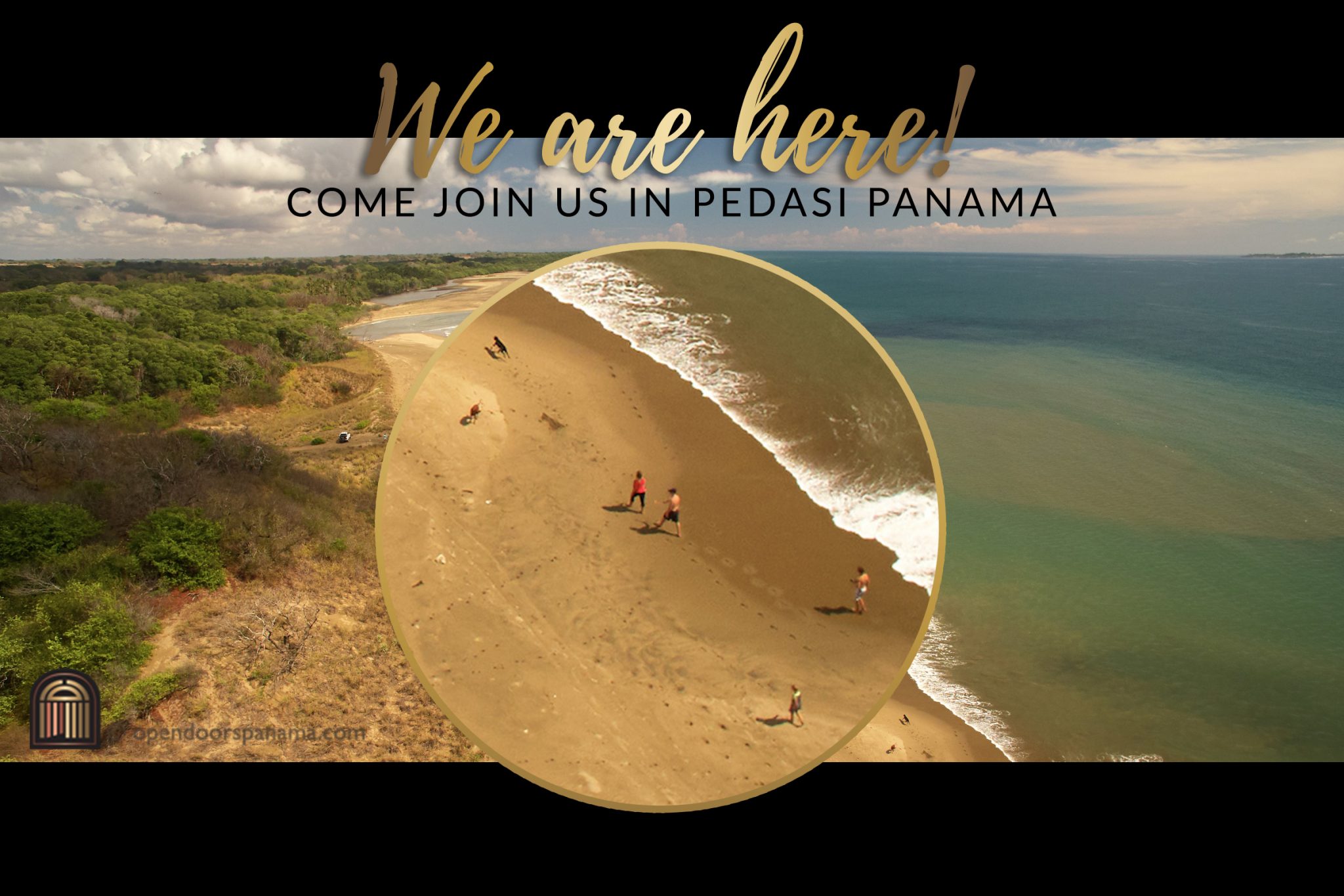 Photo of family walking on beach with dogs in panama