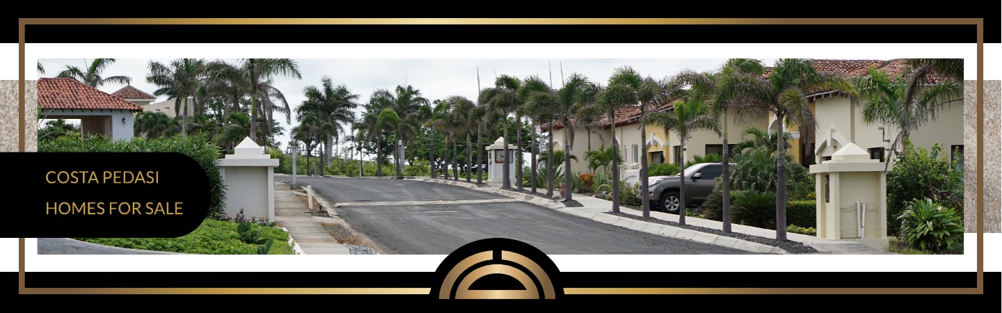 Costa Pedasi Homes for Sale Page Banner