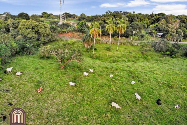 large lot for sale in pedasi panama, large lot for sale in playa venao panama, real estate for sale in panama, pedasi real estate for sale