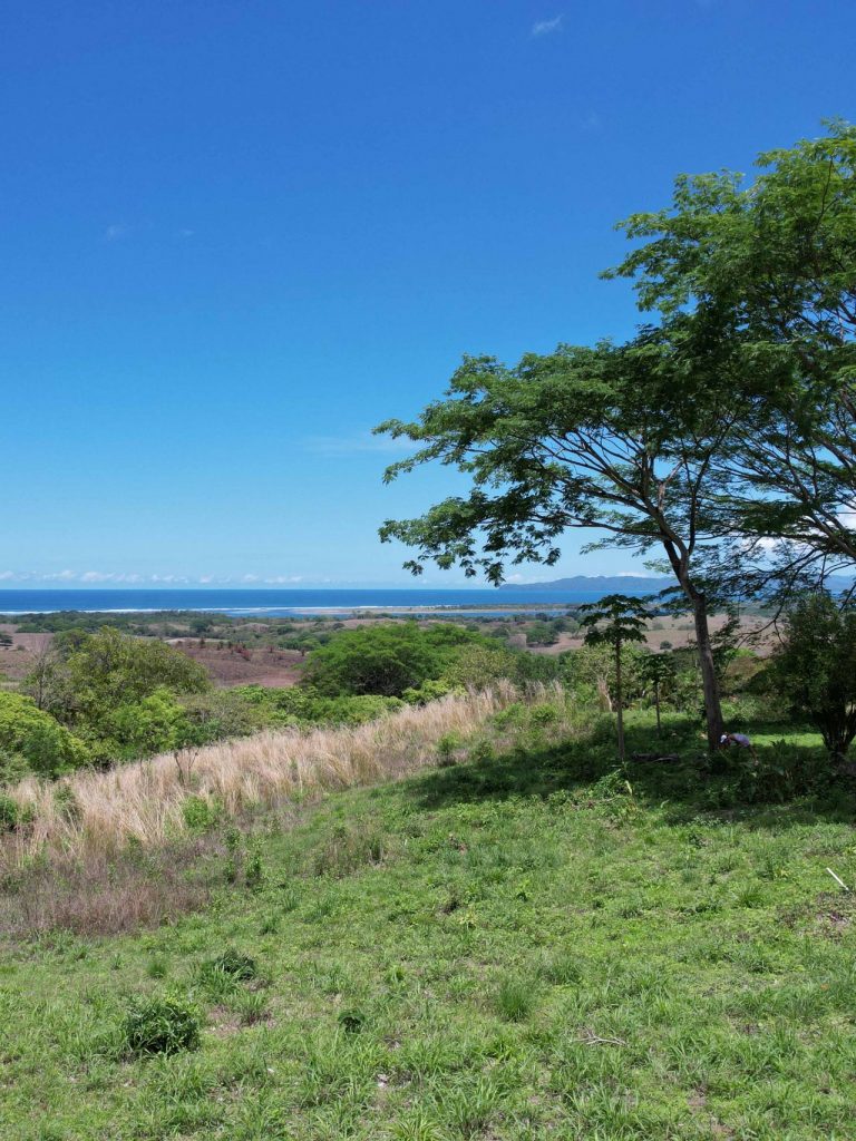 Bella Vista de Cañas 1 hectare for sale 2.5 Acres Pedasi Playa Venao